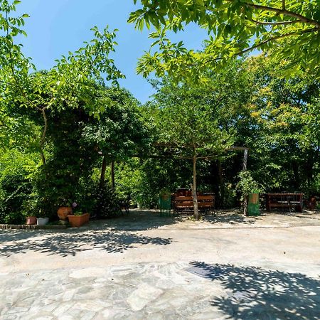 Guesthouse Papachristou Tsagarada Ngoại thất bức ảnh